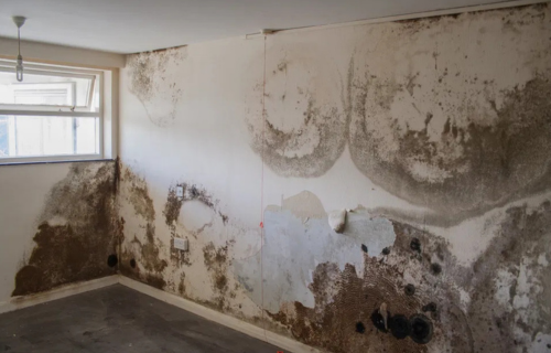 untitled design (16)