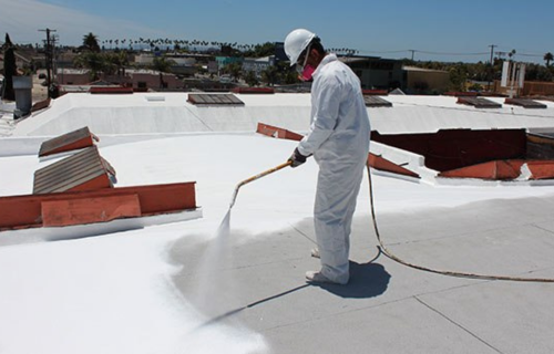 untitled design (19)