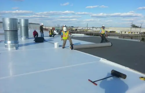 untitled design (4) (1)